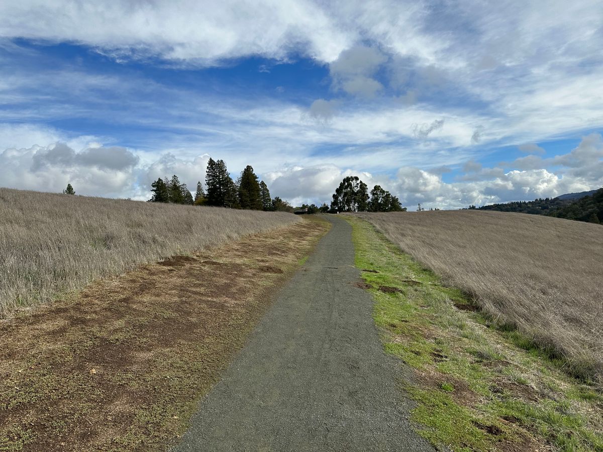 Arastradero Preserve