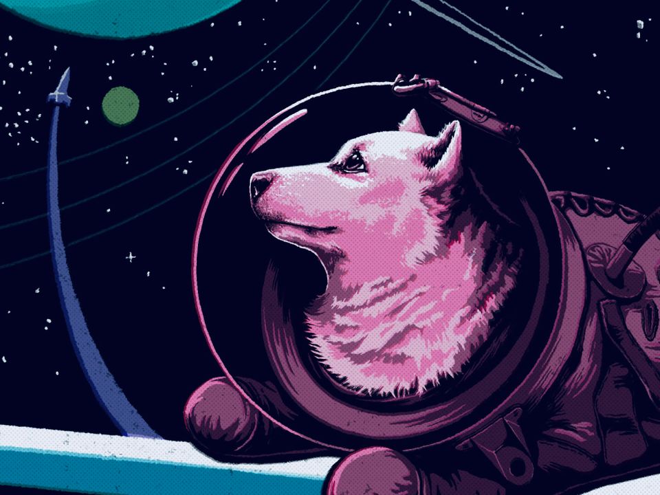 Animals in Space